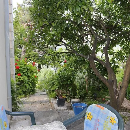 Viganj 10116e Apartament Lovište